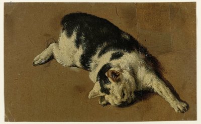 Katt ligger på siden, venstre fremre ben forlenget av Adriaen van de Velde (attributed to)
