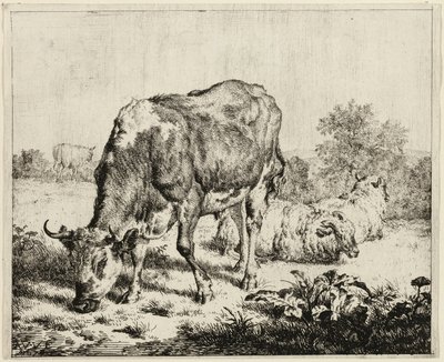 En ku og tre sauer av Adriaen van de Velde