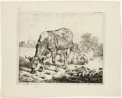 Oksebeite og tre sauer av Adriaen van de Velde