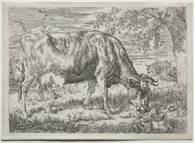 Ku og to sauer ved foten av et tre, 1670. av Adriaen van de Velde