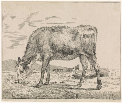 Beitende kalv Husdyr (serietittel) av Adriaen van de Velde