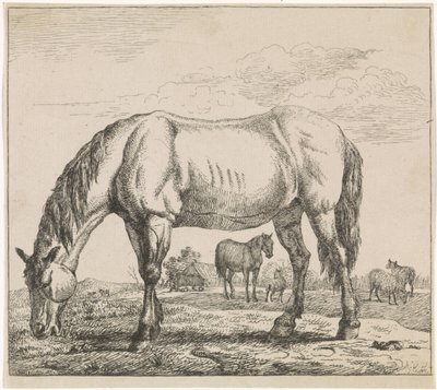 beitende hest Husdyr (serietittel) av Adriaen van de Velde