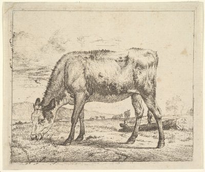 Beitende kalv, fra forskjellige dyr, 1658. av Adriaen van de Velde