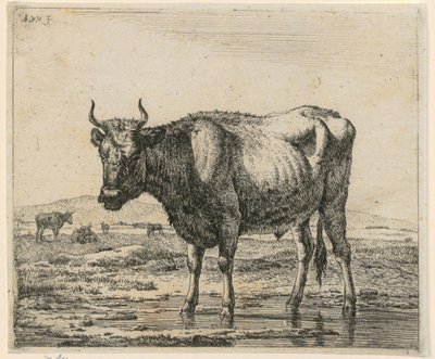 Okse som står i vann, blad 6 fra serien «Forskjellige dyr» av Adriaen van de Velde