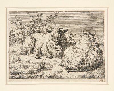 De to sauene av Adriaen van de Velde