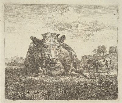 Liggende ku, fra forskjellige dyr, 1657. av Adriaen van de Velde