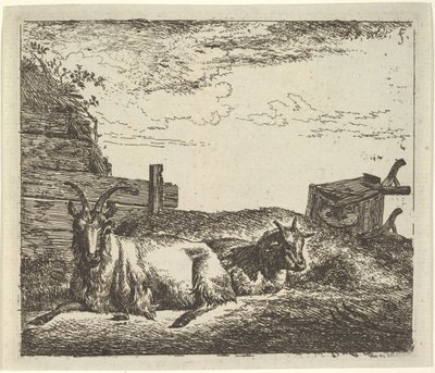 Liggende geiter, fra forskjellige dyr. av Adriaen van de Velde
