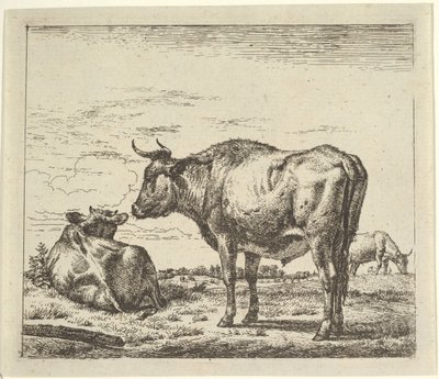Standing Bull, fra Different Animals. av Adriaen van de Velde