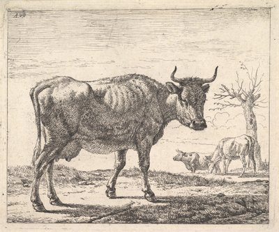Tre kyr. av Adriaen van de Velde