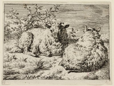 To sauer av Adriaen van de Velde