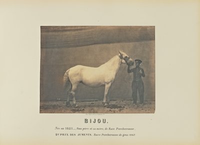  av Adrien Alban Tournachon