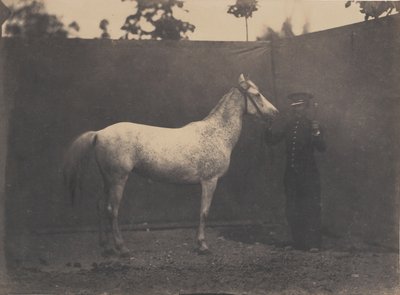 Pascaline, ca. 1855-60. av Adrien Alban Tournachon