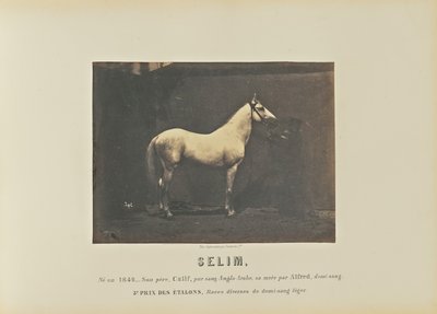  av Adrien Alban Tournachon