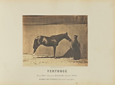  av Adrien Alban Tournachon