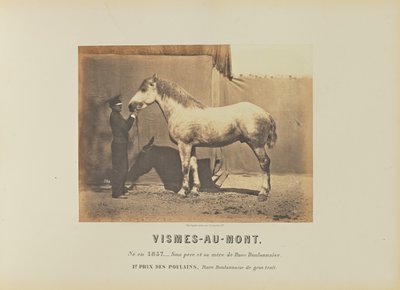  av Adrien Alban Tournachon