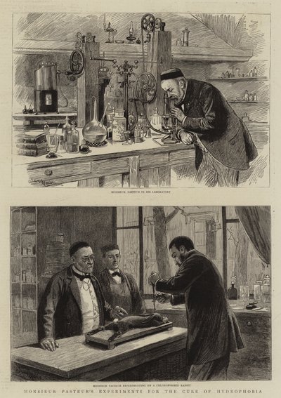 Monsieur Pasteurs eksperimenter for kurering av hydrofobi av Adrien Emmanuel Marie