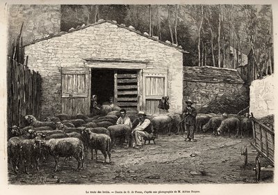 Sauehandelen, hele gårdens ansatte var ansatt i denne oppgaven, gutt, tjener, under tilsyn av gjeteren, gravering etter tegning av A.Marie, illustrerer en reise til Roquefort og dens omgivelser, av Adrien Roques og Jules Charton, av Adrien Emmanuel Marie