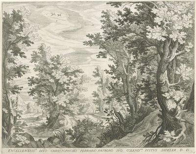 skoglandskap av Egidius  Sadeler (II)