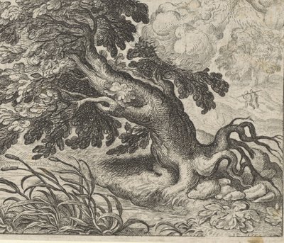 Fabel om asken og sivet av Egidius  Sadeler (II)