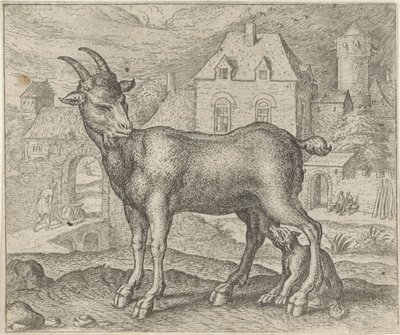 Fabel om geiten og den unge ulven av Egidius  Sadeler (II)