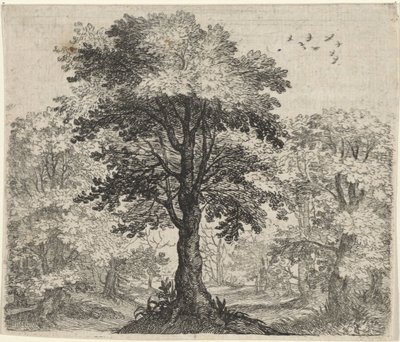 Fabel om alm og eik av Egidius  Sadeler (II)