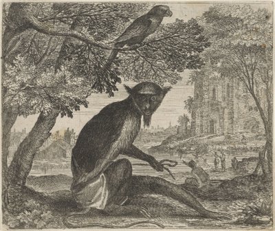 Fabel om papegøyen og apen av Egidius  Sadeler (II)