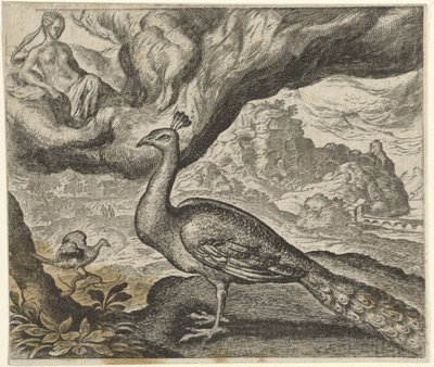 Fabel om påfuglen og nattergalen av Egidius  Sadeler (II)