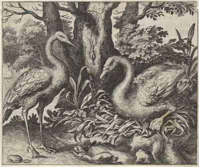 Fabel om svanen og storken av Egidius  Sadeler (II)