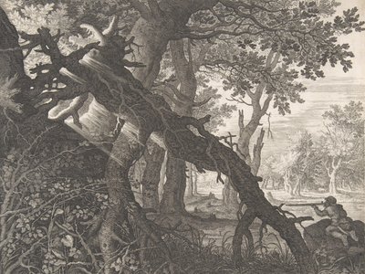 En skog med en kaninjakt,.n.d. av Aegidius Sadeler II