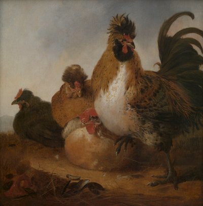 Hane og høner av Aelbert Cuyp