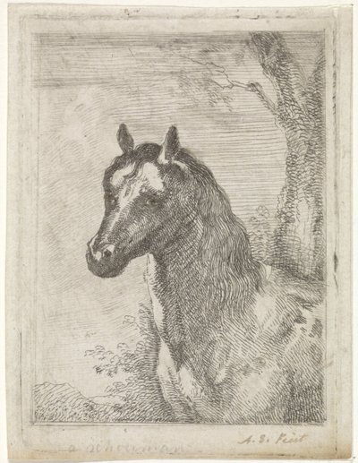 hestehode av Aert Schouman (signed by artist)