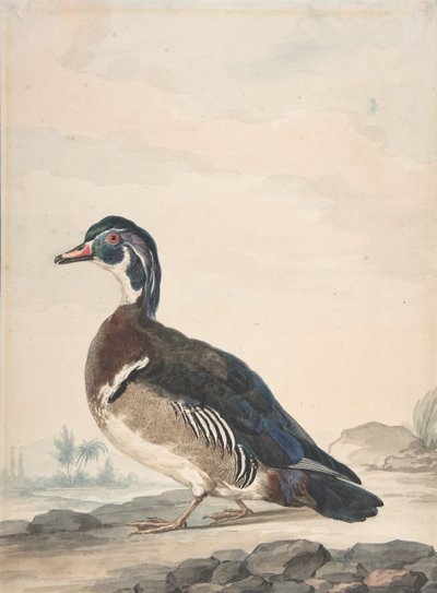 En and, 1725-92. av Aert Schouman