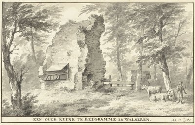 Ruiner ved Brigdamme på Walcheren En gammel ruin ved Brigdamme i Walgeren (tittel på objekt) av Aert Schouman