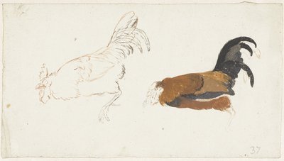 To studier av en død hane av Aert Schouman