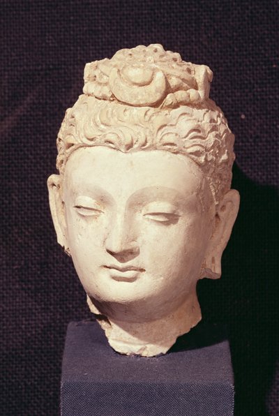 Hode for en Buddha, gresk-buddhistisk stil, fra Hadda (stukk) av Afghan School