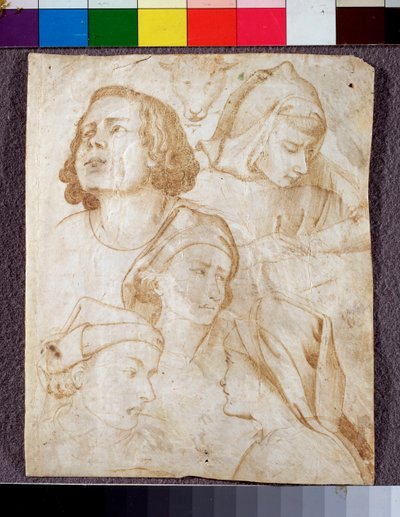 Hoder (tegning av Agnolo Gaddi