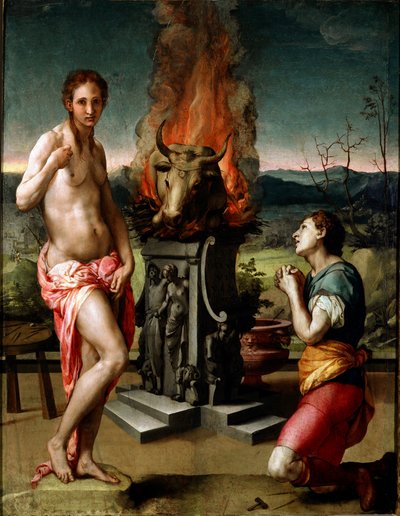 Pygmalion og Galatee (eller Galathee) Maleri av Agnolo di Cosimo di Mariano i Il Bronzino (1502-1572) 1529-1530 Søn. 81x63 cm Firenze, Galleria degli Uffizi (Museum of the Uffizi) av Agnolo Bronzino