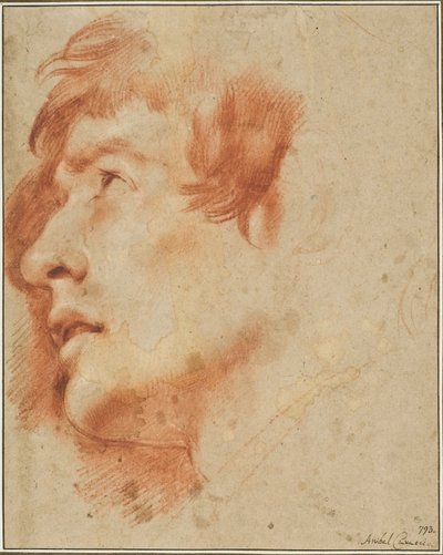 Hode av en ung mann som ser opp av Agostino Carracci