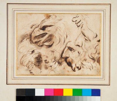 Studieark med hodet til en ørn og menns profiler og karikaturer (penn og brunt blekk og litt brun vask) av Agostino Carracci