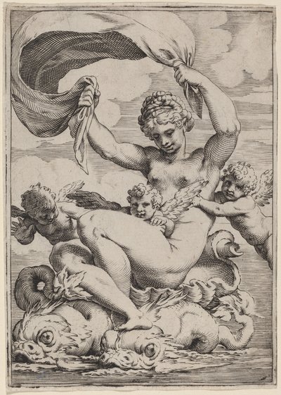 Venus eller Galatea støttet av delfiner av Agostino Carracci