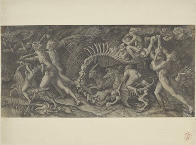 Het karkas Trollmannen av Agostino Veneziano