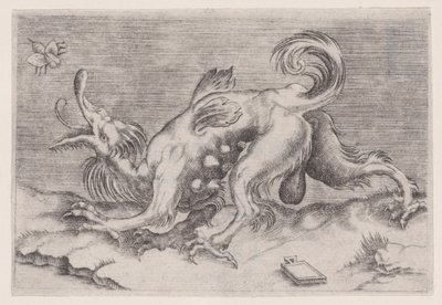 Dragen og bien, ca. 1514-36. av Agostino Veneziano