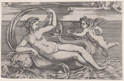 Venus liggende på en delfin, ca. 1516. av Agostino Veneziano