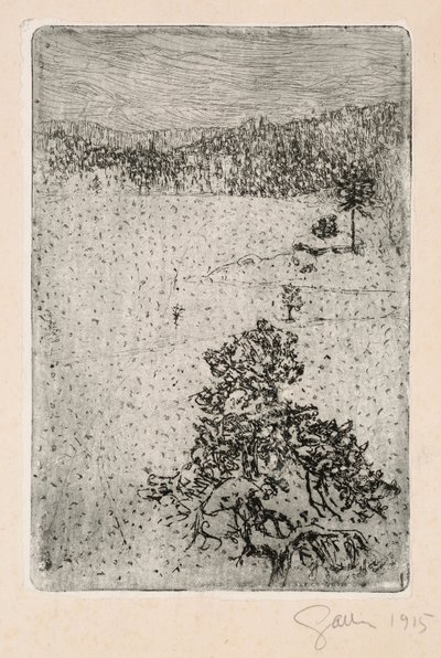 Uten tittel av Akseli Gallen-Kallela