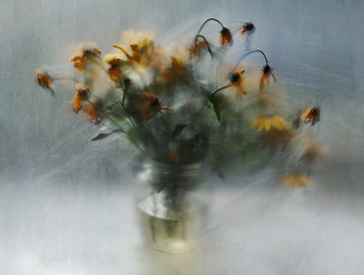 Drømmende, falmende blomster av Ala Pneuma