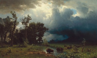 Buffalo Trail: The Impening Storm av Albert Bierstadt