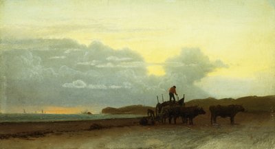 Coastal View, Newport, 1861 av Albert Bierstadt