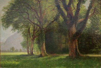  av Albert Bierstadt
