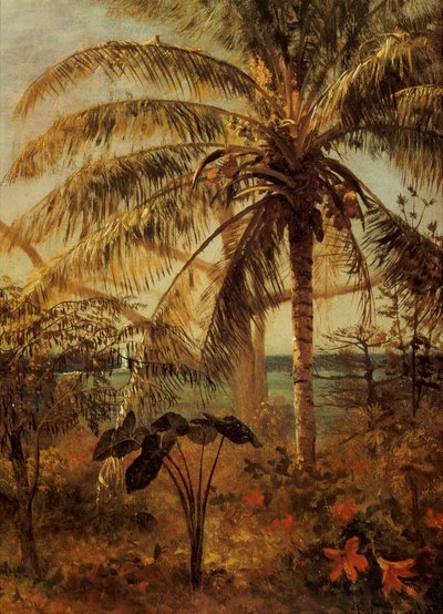 Palmetre, Nassau, 1892 av Albert Bierstadt