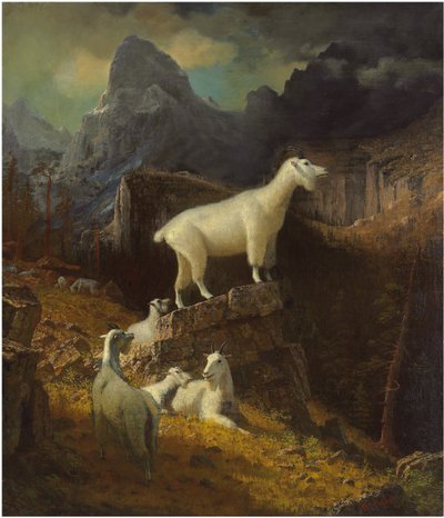 Rocky Mountain Goats, ca. 1885 (olje på lerret) av Albert Bierstadt